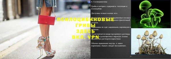 гидра Новозыбков