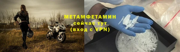 сатива Болотное