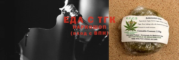 гидра Новозыбков