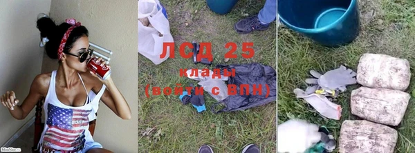 гидра Новозыбков