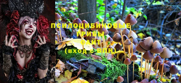 марки nbome Горнозаводск