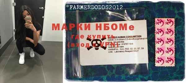 гидра Новозыбков