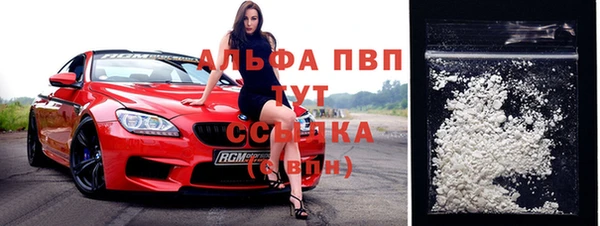 гидра Новозыбков