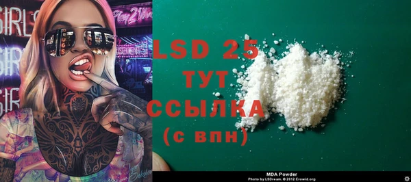 гидра Новозыбков