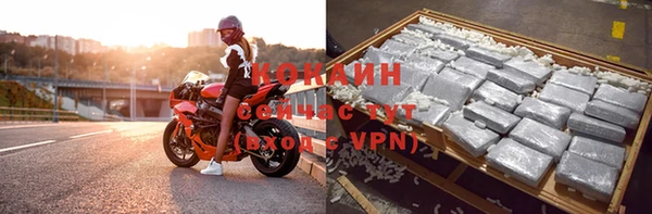 гидра Новозыбков