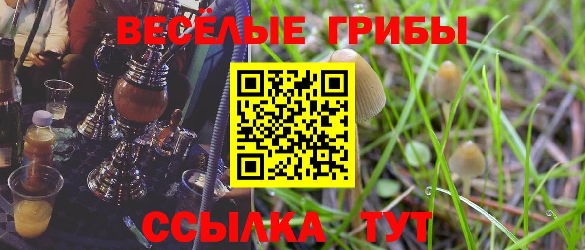 Галлюциногенные грибы ЛСД Алейск