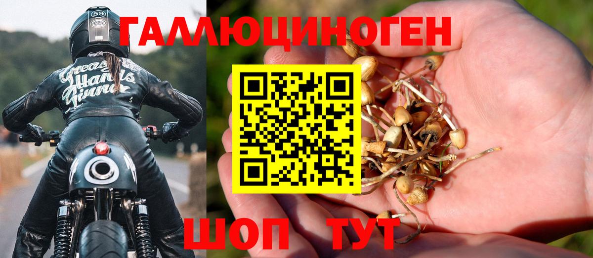 Алейск  Псилоцибиновые грибы мухоморы  Вход с VPN  Псилоцибиновые грибы MAGIC MUSHROOMS 
