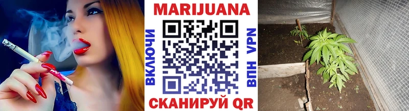 как найти наркотики  Алейск  Канабис Bruce Banner 