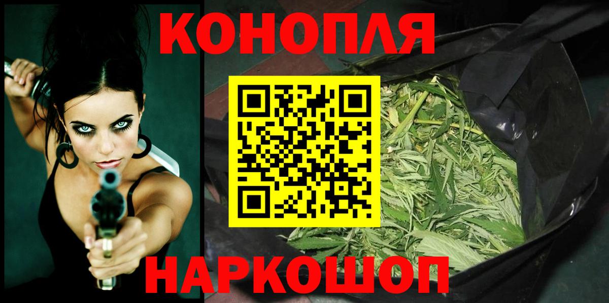 Марихуана сатива  Алейск  Канабис семена  Бошки марихуана White Widow 